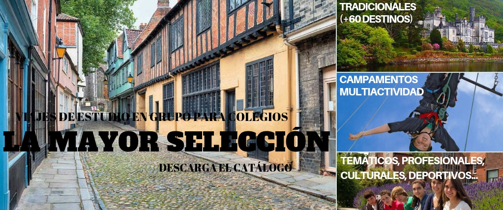 Viajes escolares en grupo. Gran variedad de viajes de estudi